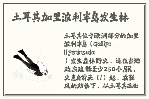 久一线产区二线产区三线产区